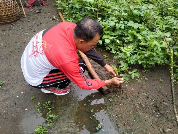Gambar