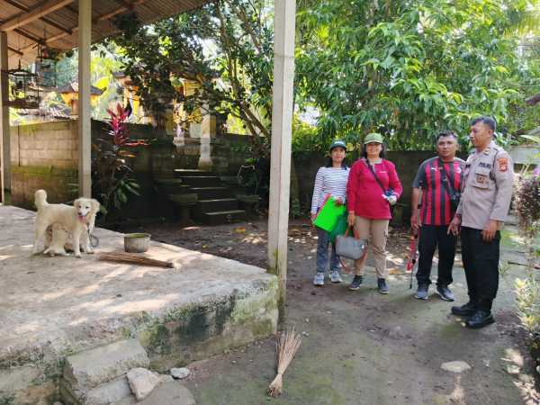 Gambar