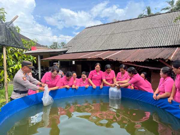 Gambar