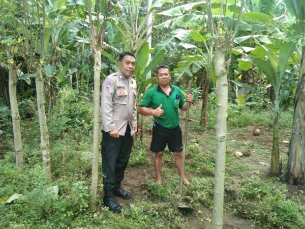 Gambar