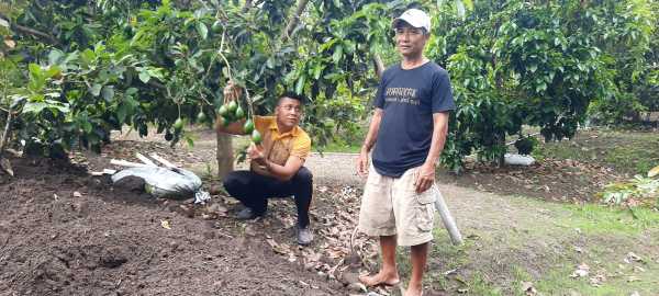 Gambar
