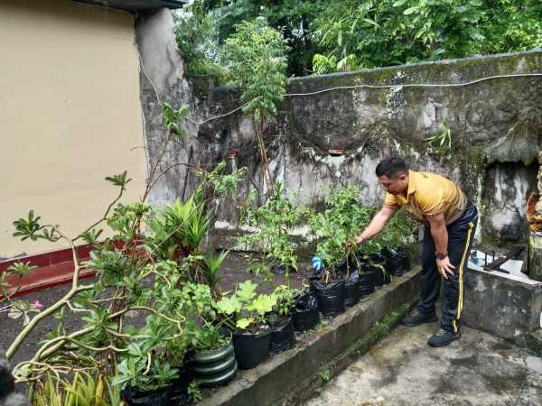 Gambar