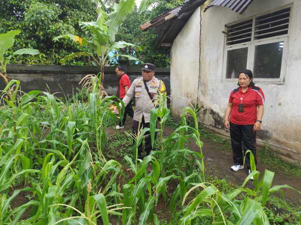 Gambar