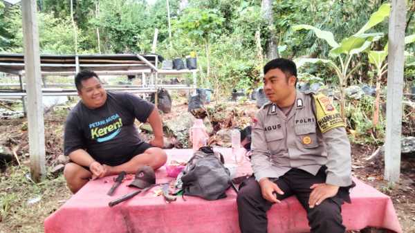 Gambar